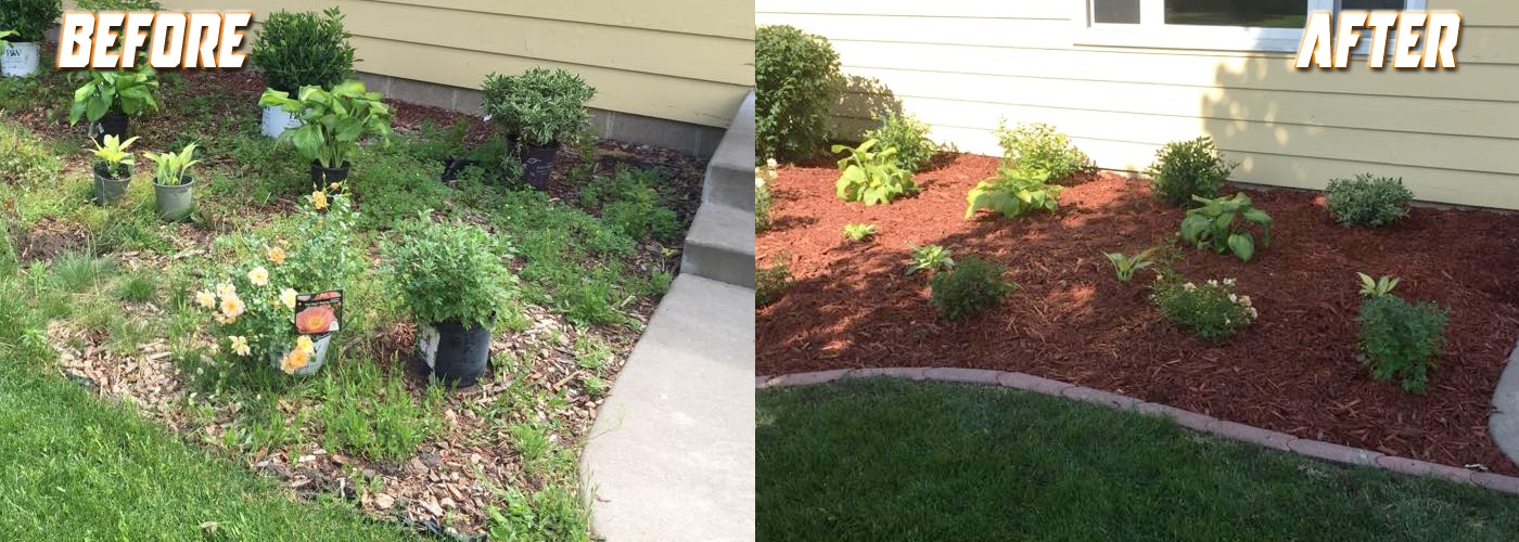Before and after spring landscape cleanup and mulching